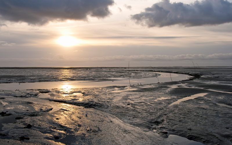 The sun hangs low on the horizon, reflecting off a stream that winds through sweeping mudflats.