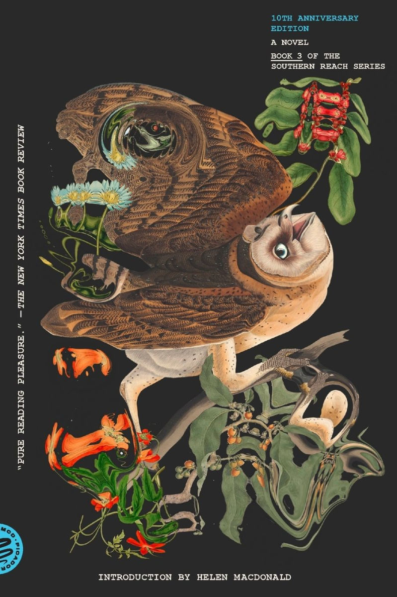 The new edition of Acceptance. The cover features a surreal, distorted illustration of an owl surrounded by strange plant life.