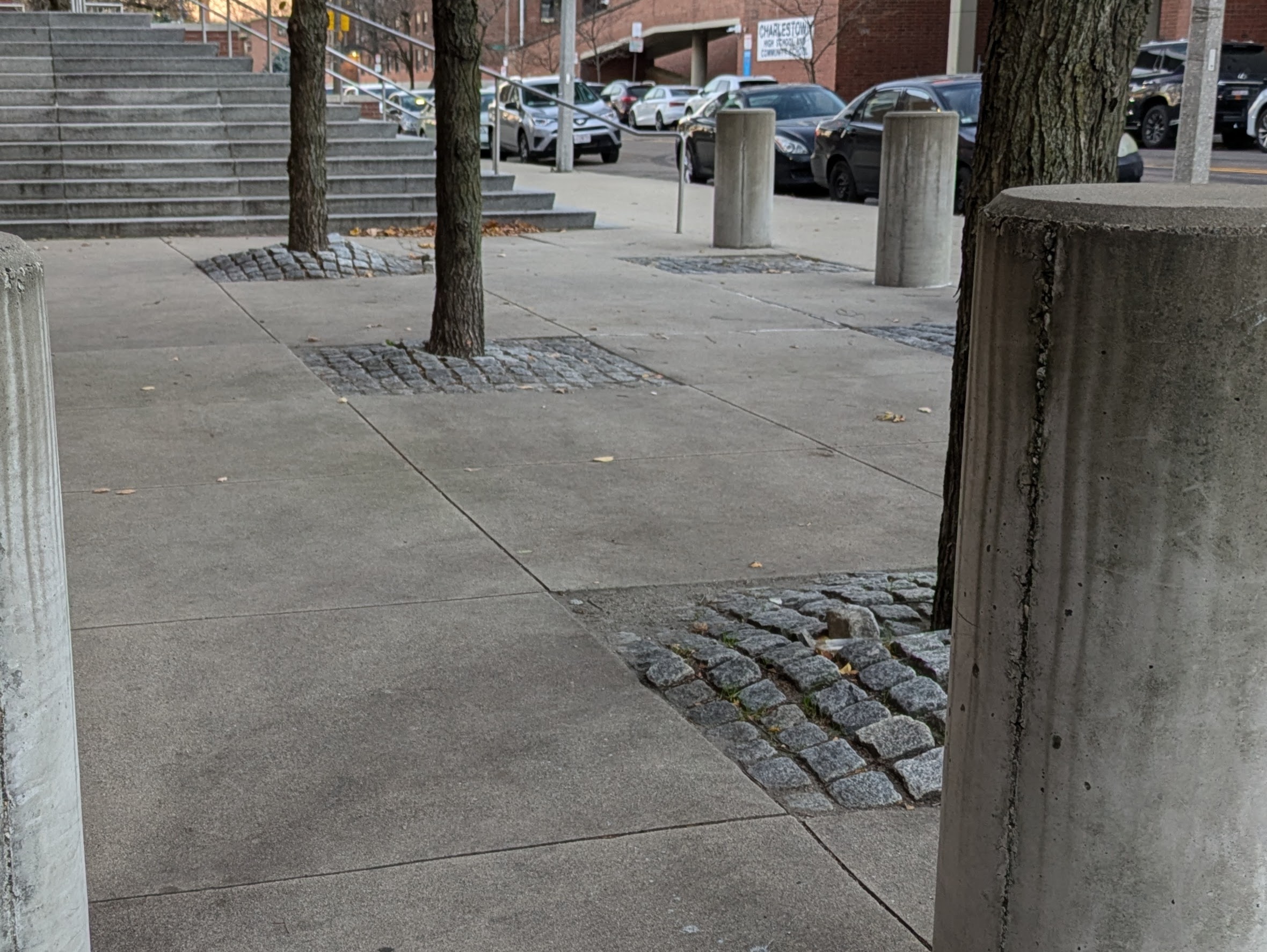 Three trees growing from a sidewalk.